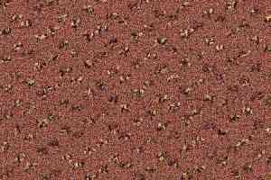 Ковролин Desso Trapez-Brlm 2086 фото  | FLOORDEALER