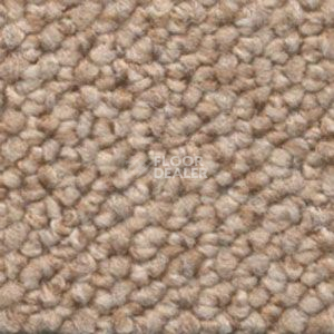 Ковролин Dura Loop 241 фото 1 | FLOORDEALER