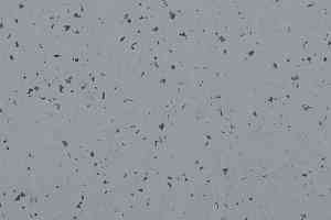 Линолеум Gerflor Mipolam BioControl Clean 5430 Sideral Grey фото  | FLOORDEALER