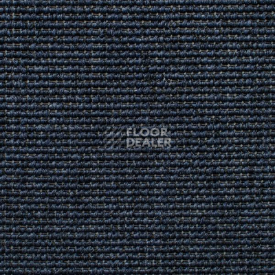 Ковролин Carpet Concept Eco Iqu 21213 фото 1 | FLOORDEALER