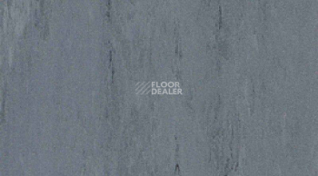 Линолеум Gerflor Mipolam Robust El7 0013 фото 1 | FLOORDEALER