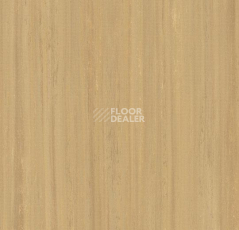 Кварцвиниловые полы Forbo Marmoleum Modular Lines 5234 фото 1 | FLOORDEALER