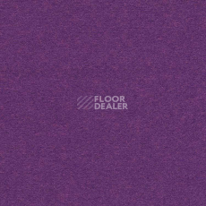 Ковролин Finett Feinwerk 753504 фото 1 | FLOORDEALER