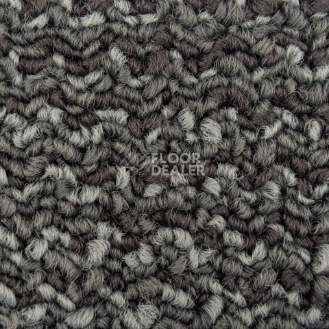 Neuflor Sandunes 300501 фото 2 | FLOORDEALER
