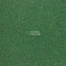 Ковролин Radici Montecarlo 75 фото 1 | FLOORDEALER