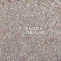 Ковролин Hidden Treasure Beaulie of America Cameo Beige 30 фото 1 | FLOORDEALER