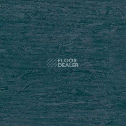 Линолеум Tarkett Horizon 003 фото 1 | FLOORDEALER