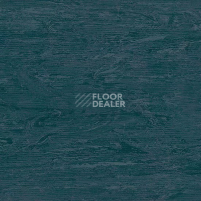 Линолеум Tarkett Horizon 003 фото 1 | FLOORDEALER