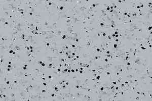 Линолеум Gerflor Mipolam BioControl El5 2006 Medium Fog фото  | FLOORDEALER