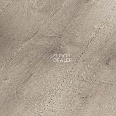 Ламинат Parador Basic Plus 600 XS 1744356 Дуб Мистраль Серый фото 1 | FLOORDEALER
