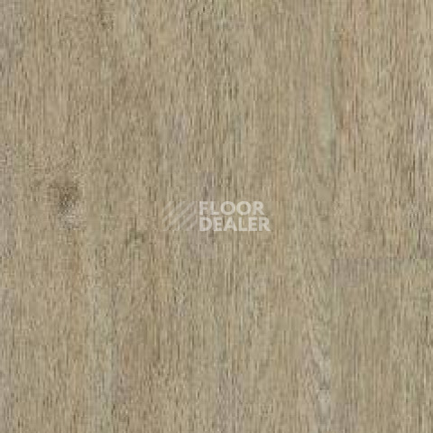 Кварцвиниловые полы Tarkett Art Vinyl Epic KEVIN фото 1 | FLOORDEALER