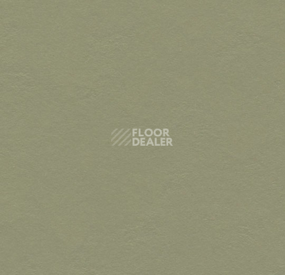 Линолеум Forbo Marmoleum Decibel 335535 rosemary green фото 1 | FLOORDEALER