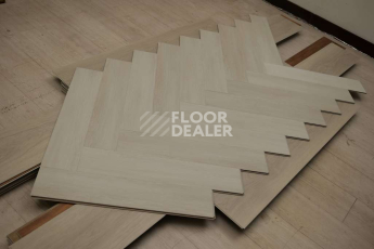 Evofloor Parquet Glue 2.5мм Whiteford (Уайтфорд) фото 6 | FLOORDEALER