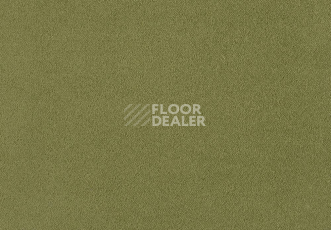 Ковролин Lano Zen 511 фото 1 | FLOORDEALER