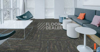 Standard Carpets LAX 545 фото 2 | FLOORDEALER