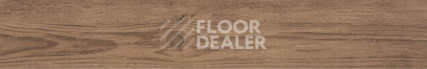 Керамогранит Manhattan Par-Ker Manhattan Cognac 19,3x120 фото 1 | FLOORDEALER