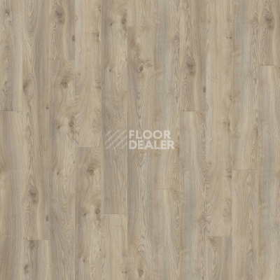 Ламинат Kronotex Mammut d3669 Дуб Макро Бежевый фото 5 | FLOORDEALER