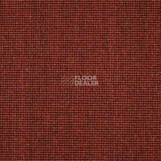 Ковролин Carpet Concept Eco 500 6924 фото 1 | FLOORDEALER