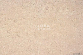 Eco Cork MADEIRA CREME фото 2 | FLOORDEALER