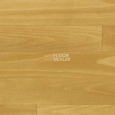 Линолеум Novoflor Standard 4300_9 фото 1 | FLOORDEALER
