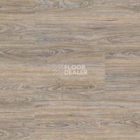 Wood CORK OAK LEACHED фото 4 | FLOORDEALER