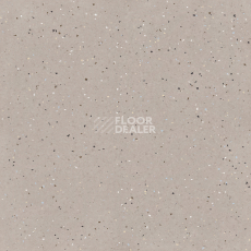 Линолеум Tarkett iQ Lyra 504 фото 1 | FLOORDEALER