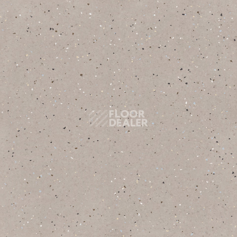 Линолеум Tarkett iQ Lyra 504 фото 1 | FLOORDEALER