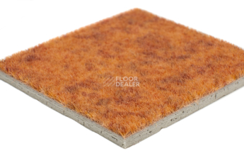 Forbo Flotex Colour Calgary 50*50 t 590005 Calgary Melon фото 4 | FLOORDEALER