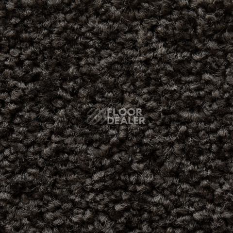 Balsan Serenite 770 фото 3 | FLOORDEALER