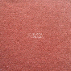 Ковролин Дюна Тафт Плеяда 550 922 фото 1 | FLOORDEALER