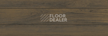 Керамогранит Forest 31 X 93 Atlas Nut фото 1 | FLOORDEALER
