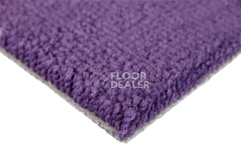 Balsan Les Best 886 фото 4 | FLOORDEALER