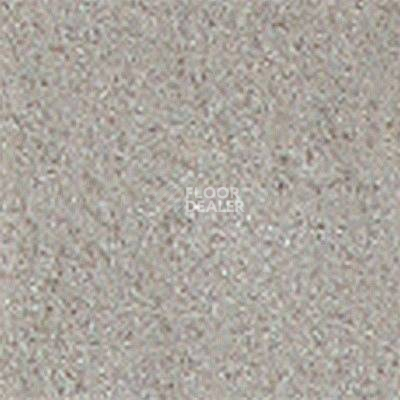 Ковролин Girloon Standard 825 фото 1 | FLOORDEALER