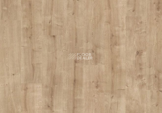 Parador Basic Plus 200 V 1593997 Дуб Шлифованный фото 2 | FLOORDEALER