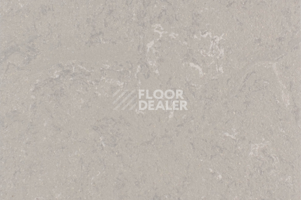 Линолеум Forbo Marmoleum Solid Concrete 3702-370235 liquid clay фото 1 | FLOORDEALER