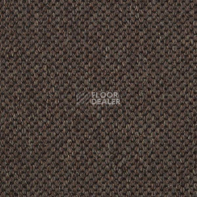 Ковролин Carpet Concept Yve 2 6403 фото 1 | FLOORDEALER