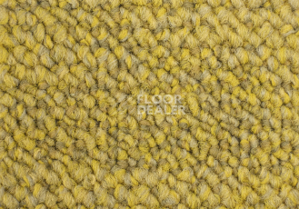 Desso Desert 6103 фото 2 | FLOORDEALER