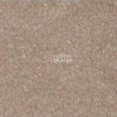 Ковролин Shaw all That Jazz 21147 фото 1 | FLOORDEALER
