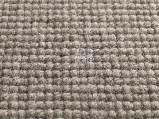 Ковролин Jacaranda Carpets Chandigarh Pewter фото 1 | FLOORDEALER
