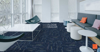 Standard Carpets LAX 557 фото 2 | FLOORDEALER