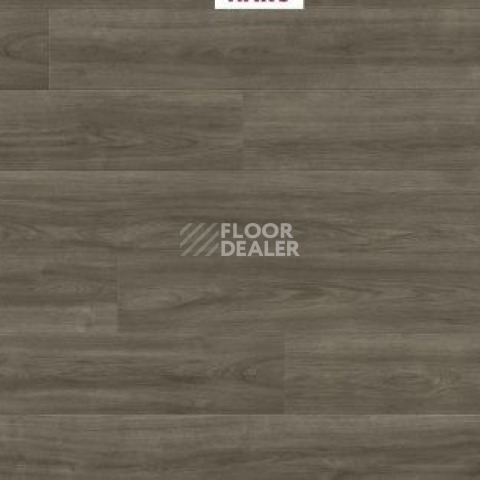 Ламинат Haro Tritty 200 Aqua 4V ДУБ ЭЛЕГАНЗА АНТИЧНЫЙ СЕРЫЙ 541555 фото 1 | FLOORDEALER