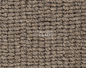 Ковролин Best Wool Pure Livingstone 199 фото 1 | FLOORDEALER