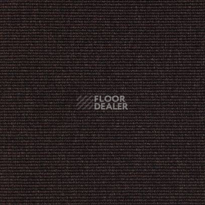 Ковролин Carpet Concept Eco 1 6629 фото 1 | FLOORDEALER