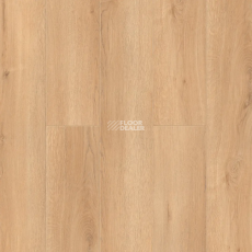 Alpine Floor Aura 8мм LF100-24 ДУБ Виченца фото 1 | FLOORDEALER