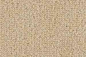 Ковролин Balsan Les Best 625 фото  | FLOORDEALER