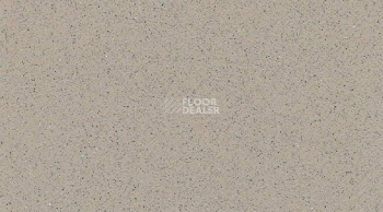 Линолеум Gerflor Tarasafe Super 7386_Savana фото 1 | FLOORDEALER