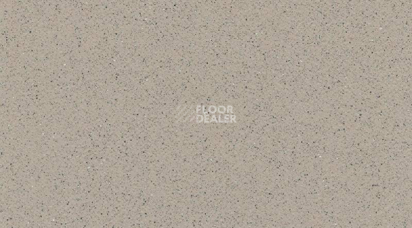 Линолеум Gerflor Tarasafe Super 7386_Savana фото 1 | FLOORDEALER