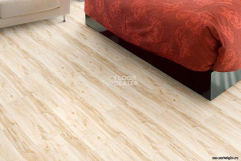 Wood MAPLE фото 2 | FLOORDEALER