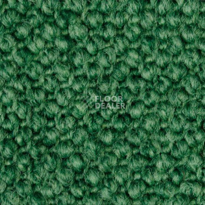 Ковролин Carpet Concept Eco Cut 30002 фото 1 | FLOORDEALER