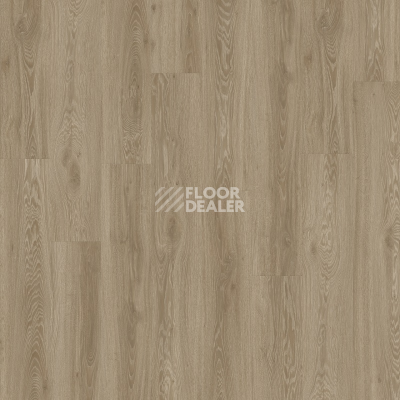 Кварцвиниловые полы Moduleo Next Acoustic дерево VISTA OAK 450 BO фото 1 | FLOORDEALER